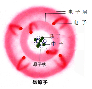 图2.8	碳原子及其原子核示意图