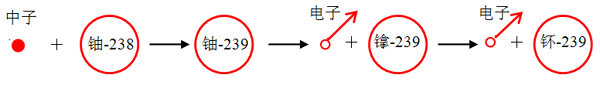 图2.14	铀-238吸收中子最后变成钚-239的示意图