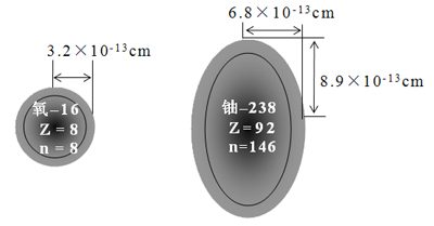 图2.9	大体按比例画出一个轻核和一个重核的形状