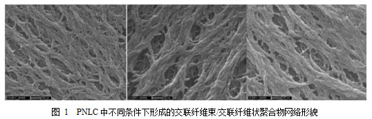 中小型无人机载光谱成像系统研究