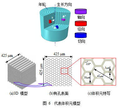 云杉各向异性力学行为实验测试与数值模拟