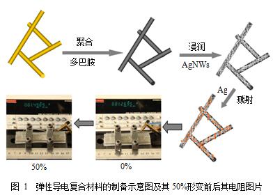 聚多巴胺表面改性制备弹性导电复合材料及在导电通路中的应用