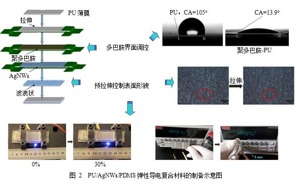 聚多巴胺表面改性制备弹性导电复合材料及在导电通路中的应用