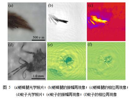 基于太赫兹量子级联激光器的相关研究