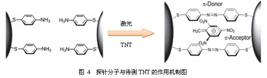 仿生表面增强拉曼散射(SERS)芯片的设计及在爆炸物痕量分析中的应用