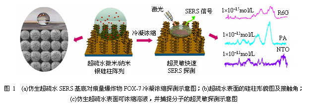 仿生表面增强拉曼散射(SERS)芯片的设计及在爆炸物痕量分析中的应用