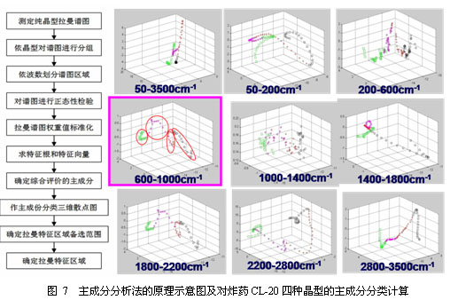 仿生表面增强拉曼散射(SERS)芯片的设计及在爆炸物痕量分析中的应用