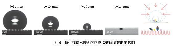 仿生表面增强拉曼散射(SERS)芯片的设计及在爆炸物痕量分析中的应用