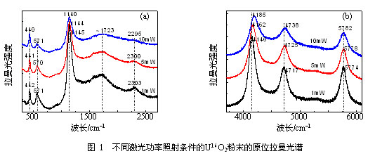 不同氧同位素UO<sub>2</sub>的振动与电子拉曼跃迁峰