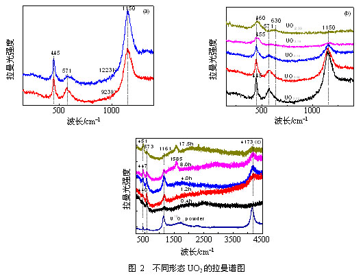 不同氧同位素UO<sub>2</sub>的振动与电子拉曼跃迁峰