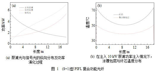 万瓦级泵浦增益一体化复合功能激光光纤